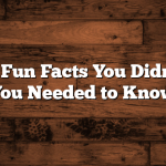 25 Flirty Fun Facts You Didn’t Know You Needed to Know