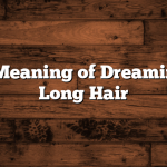 Biblical Meaning of Dreaming About Long Hair