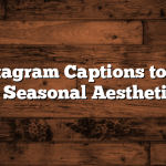 Fall Instagram Captions to Elevate Your Seasonal Aesthetic 🍂