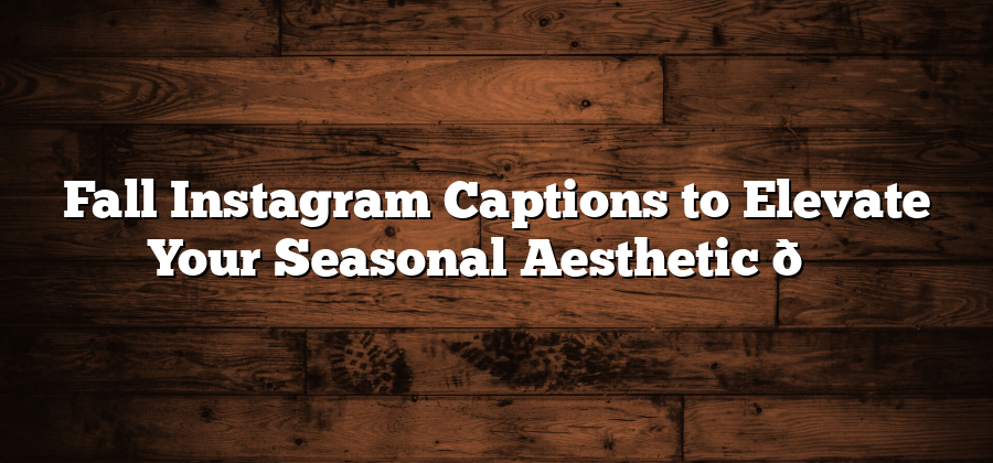 Fall Instagram Captions to Elevate Your Seasonal Aesthetic 🍂