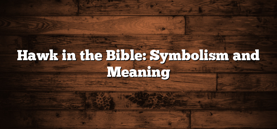 Hawk in the Bible: Symbolism and Meaning