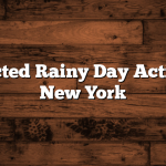 Unexpected Rainy Day Activities in New York