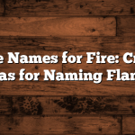 Unique Names for Fire: Creative Ideas for Naming Flames