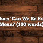 What Does ‘Can We Be Friends?’ Mean? (100 words)