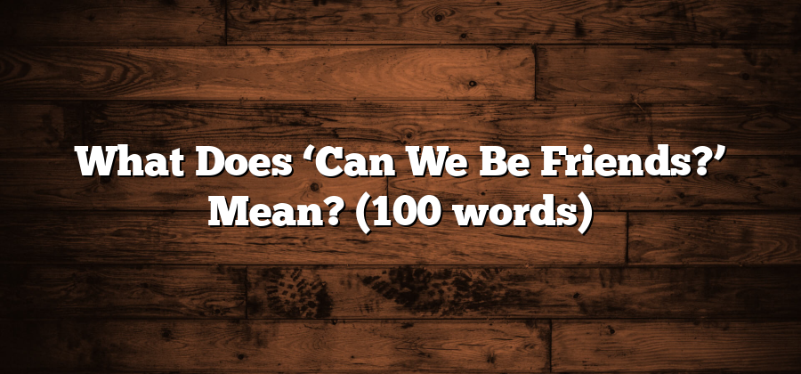 What Does ‘Can We Be Friends?’ Mean? (100 words)