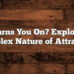 What Turns You On? Exploring the Complex Nature of Attraction