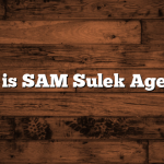 What is SAM Sulek Age, Bio?