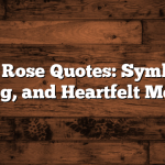 Yellow Rose Quotes: Symbolism, Meaning, and Heartfelt Messages