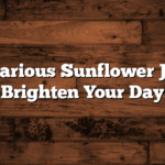 50+ Hilarious Sunflower Jokes to Brighten Your Day