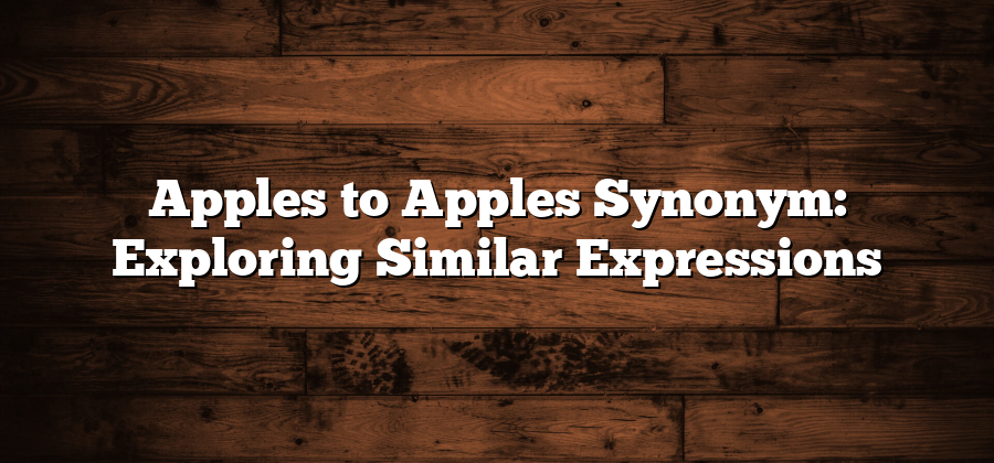 Apples to Apples Synonym: Exploring Similar Expressions