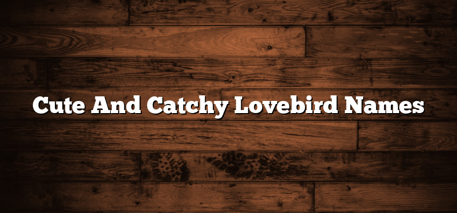 Cute And Catchy Lovebird Names