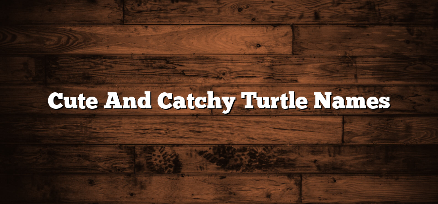 Cute And Catchy Turtle Names