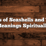 Types of Seashells and Their Meanings Spiritually