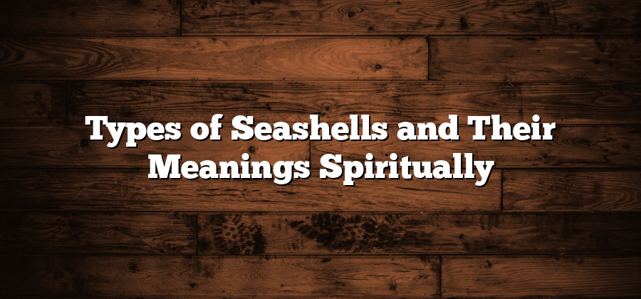 Types of Seashells and Their Meanings Spiritually