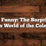 Purple Funny: The Surprisingly Hilarious World of the Color Purple