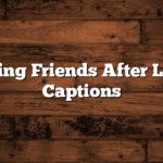 200 Meeting Friends After Long Time Captions