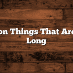 10 Common Things That Are 3 Inches Long