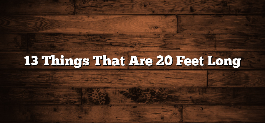 13 Things That Are 20 Feet Long